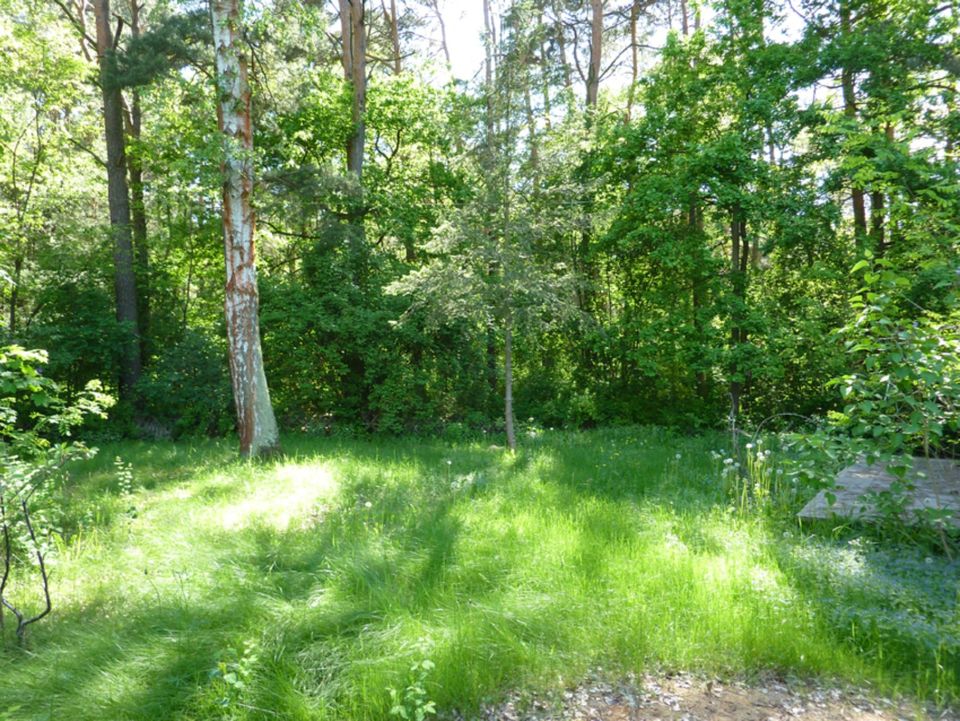 GARTEN LAUBE GRUNDSTÜCK BERLIN POTSDAM DATSCHE URLAUB BORKWALDE in Borkwalde