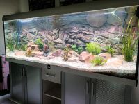 Aquarium 200x60x70= 840l Rheinland-Pfalz - Kastellaun Vorschau