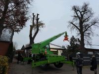 Spezial Baum Fällung mittels Fällkran Niedersachsen - Edemissen Vorschau