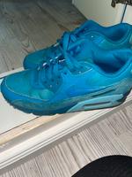 Blaue Nike air max 40,5  selten Hessen - Langenselbold Vorschau
