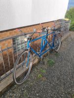 Fahrrad Tandemfahrrad Rheinland-Pfalz - Frankenthal (Pfalz) Vorschau