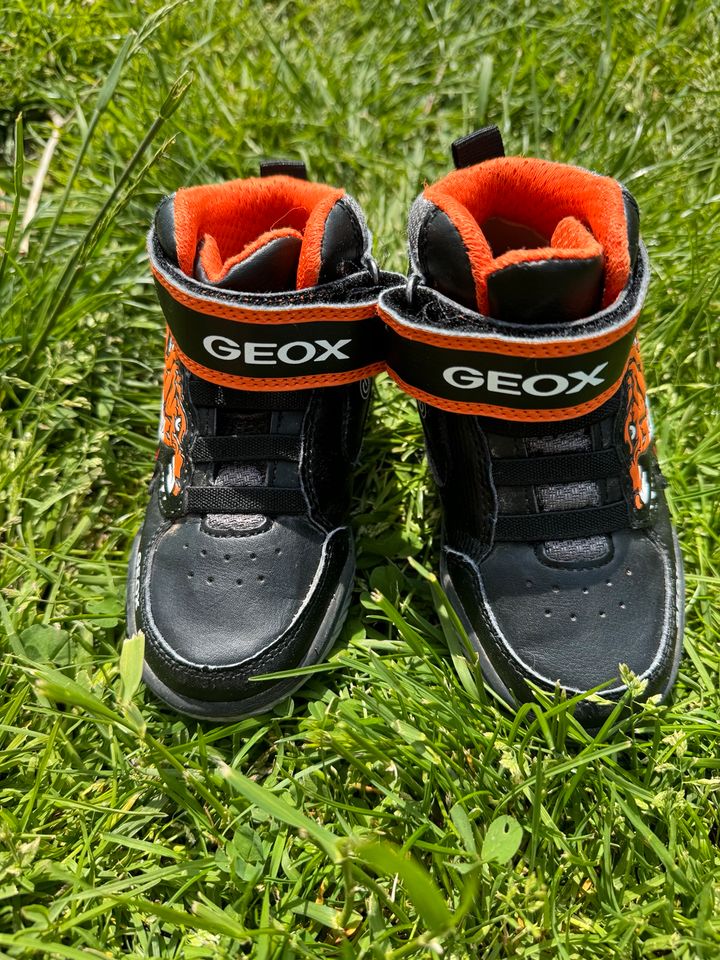 Geox Sneaker 25 24 leuchten in Merchweiler