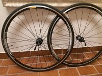 DT Swiss Laufsatz  neu ETRTO 2.0 622 X 14 + Mäntel Specialized Nordrhein-Westfalen - Erkrath Vorschau