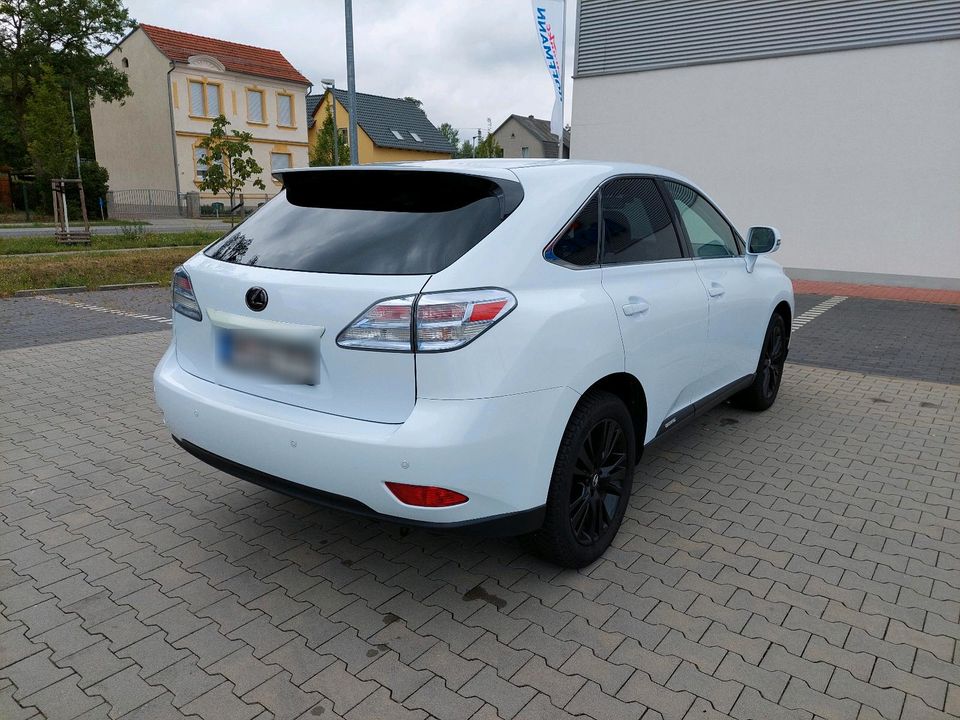 Lexus RX450h, Xenon, Navi, HuD, Leder in Werder (Havel)