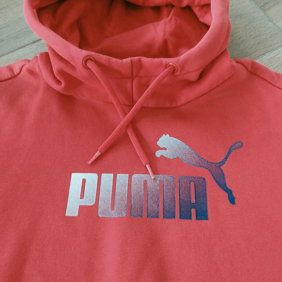 Puma Hoody Herren rot Gr.XL in Niedersachsen - Lathen | eBay Kleinanzeigen  ist jetzt Kleinanzeigen