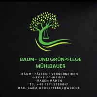 Baum und Grünpflege Sachsen-Anhalt - Sandersdorf Vorschau