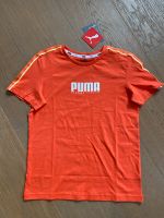 T-Shirt v. Puma Gr. 152 neu m. Etikett Bayern - Kunreuth Vorschau