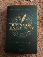 Brynmor University Dominik Gaida Hessen - Dreieich Vorschau
