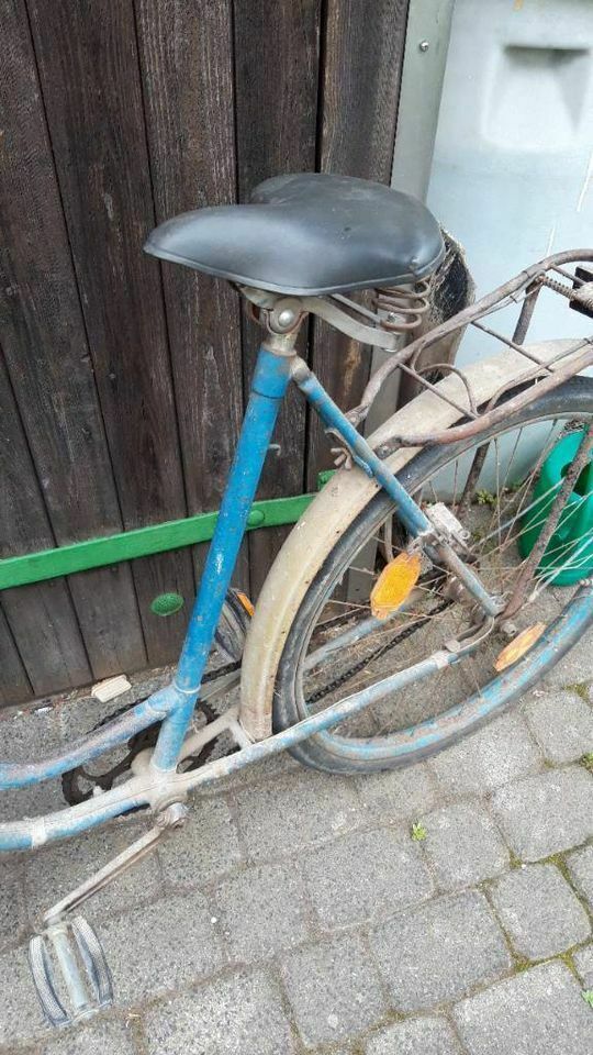 DDR Kult Oma's altes Mifa Fahrrad 1950ern Jahre alles orginal in Leipzig