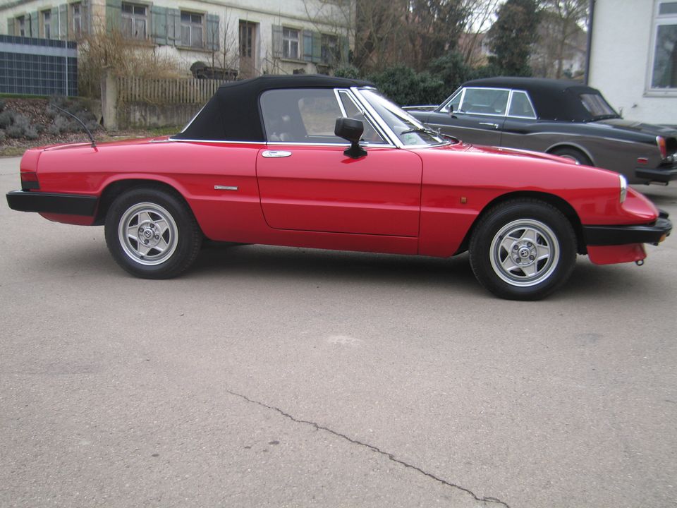 Alfa Romeo Spider in Hohentengen