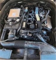Mercedes BlueTec OM651.925 2.2 Motor 2143CCM3 136PS 100KW Euro6 Sachsen-Anhalt - Huy Vorschau