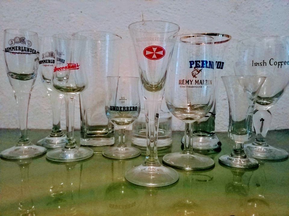 Diverse Bier - Wein - Schnaps - Tee  GLÄSER in Kulmbach