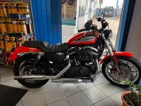 Harley Davidson 883R Sportster Hessen - Biebertal Vorschau