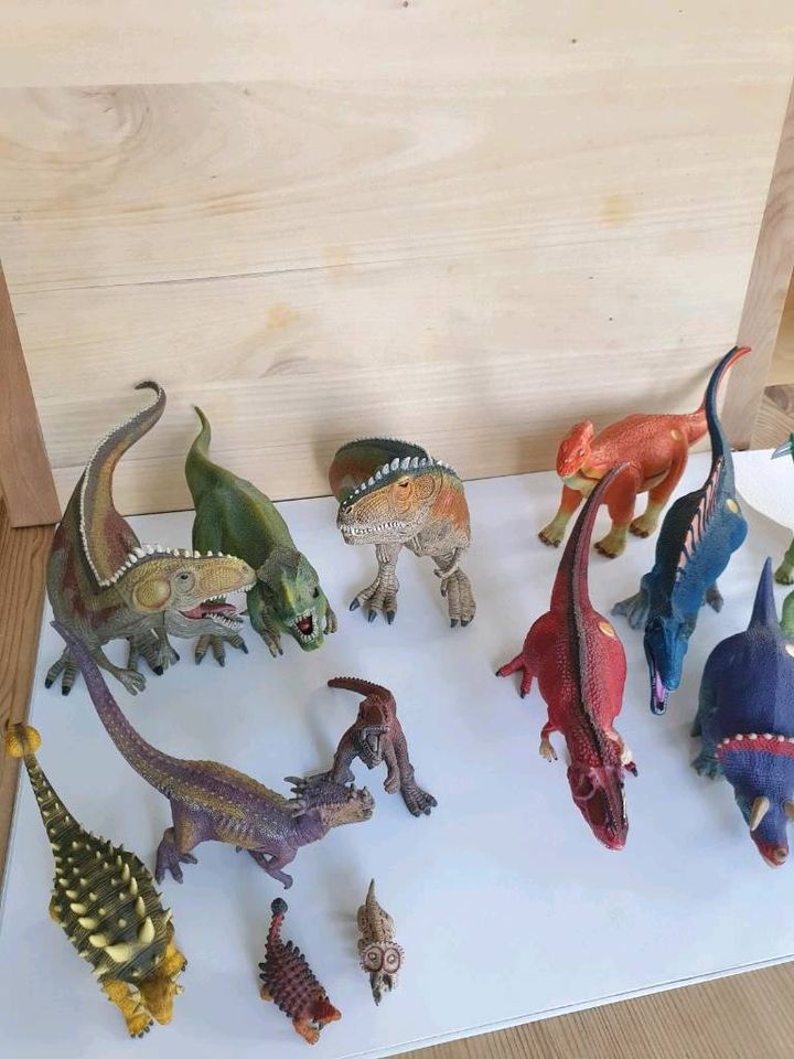 Dinosaurer Sammlung riesig: Schleich, Tiptoi, Playmobil + Vulkan in Waltenhofen