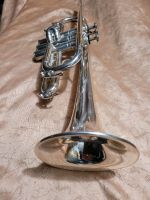 Qualität Trompete Kornett in C von B&M Symphony Top Koffer Mundst Bayern - Riedenburg Vorschau