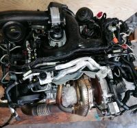 Motor Komplett VW TOUAREG PORSCHE CAYENNE CVVA 3.0TDI 61Tkm 262PS Brandenburg - Küstriner Vorland Vorschau