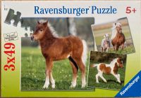 Ravensburger Pferdepuzzle 3 x 49 Teile in OVP, ab 5 Jahren Sachsen - Wurzen Vorschau