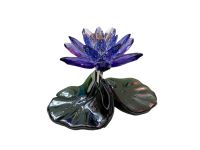 Swarovski Seerose 2016 1141630 Paradies Blume Violet Brandenburg - Potsdam Vorschau