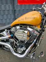 Harley davidson springer softail dock 66 Nordrhein-Westfalen - Rheinberg Vorschau