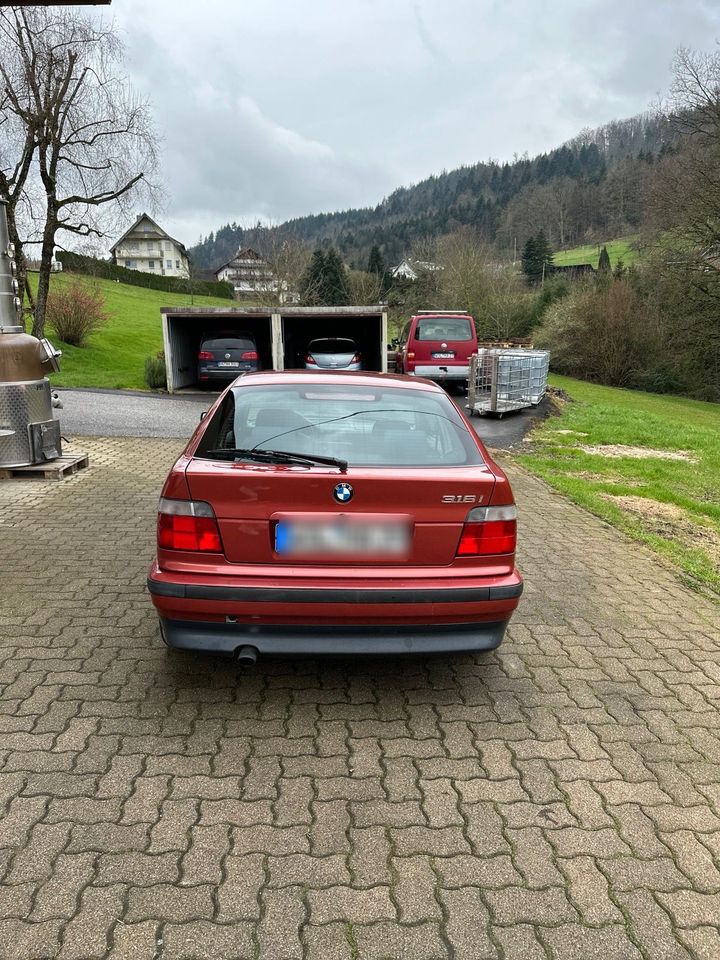 BMW 316i e36 in Berghaupten