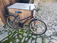 26 Zoll Fahrrad mit Shimano Gangschaltung 18 Gänge Sachsen - Hirschfeld b Zwickau Vorschau