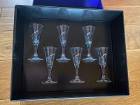 NEU 6 Schnapsgläser Glas mit Kristallsteinen Glitzer Nordrhein-Westfalen - Extertal Vorschau