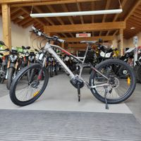 Andere Totem E-Bike Carry Brandenburg - Jühnsdorf Vorschau