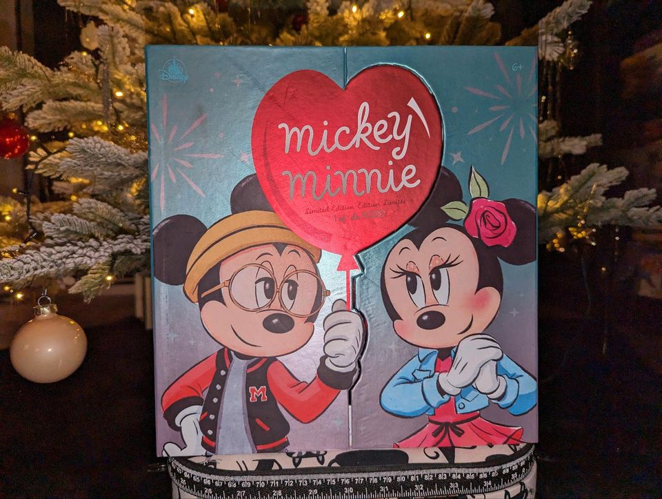 Disney Store Mickey und Minnie Limited 2022 Valentine's Day Puppe in Herrischried