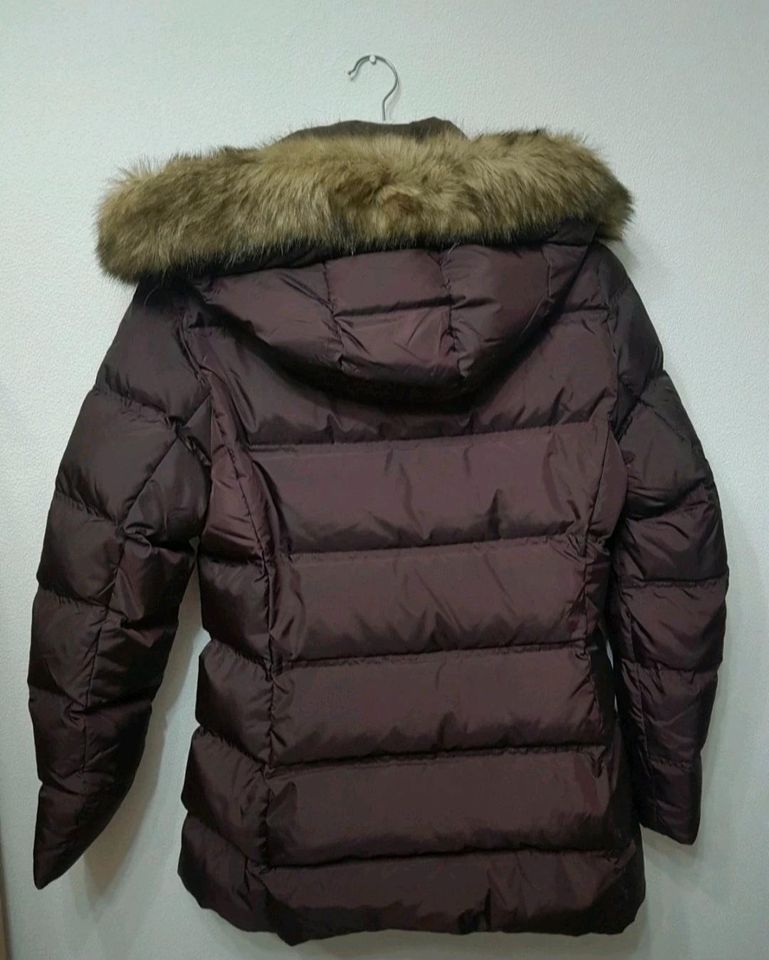 Winterjacke von Tommy Hilfiger in Spangenberg