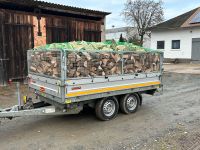 Brennholz Buche trocken Hessen - Marburg Vorschau