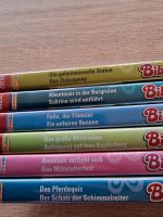 7 DVDs Bibi und Tina Nordrhein-Westfalen - Hückeswagen Vorschau