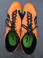 Puma Complete Spikes Rheinland-Pfalz - Speyer Vorschau