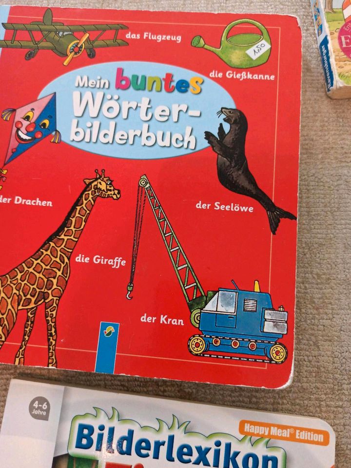Wieso weshalb warum junior Kleinkind Bücher Baby Buch in Durmersheim