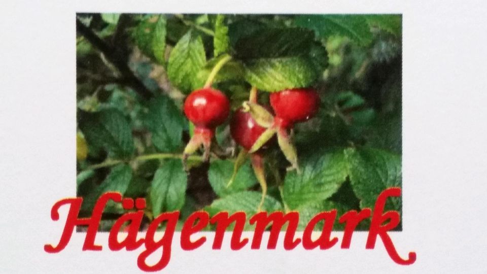 Hagebutten Marmelade/ Hägemark 300ml 4,50€ in Wurmberg