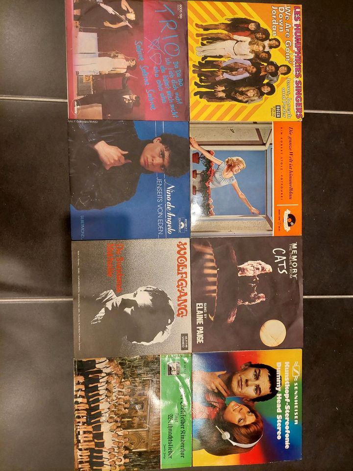 33 Schallplatten Singles Sammlung in Oerlinghausen