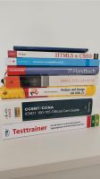 IT-Handbuch, IT Bücher Fachinformatiker CISCO UML HTML CSS JS Berlin - Steglitz Vorschau