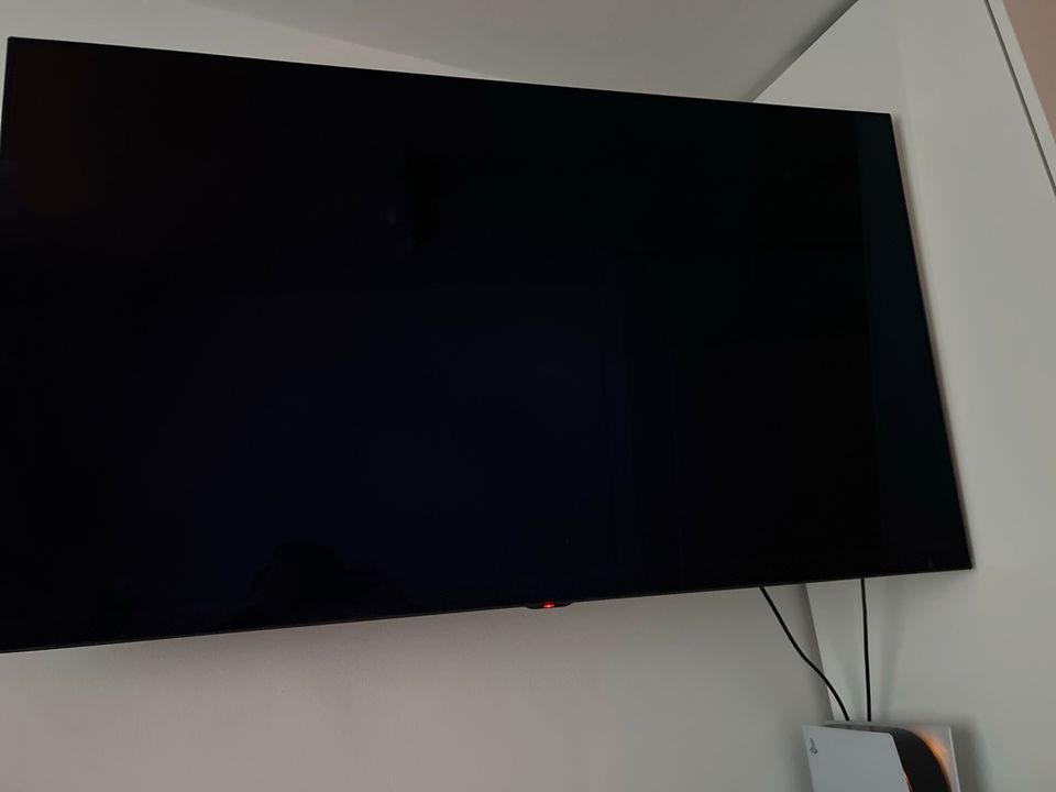 LG OLED  55 Zoll in Ingolstadt