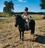 Reitbeteiligung, Mutter Kind reiten Pflegebeteiligung Pony Reiten Nordrhein-Westfalen - Lünen Vorschau