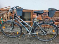 Fahrrad mit 3x7 Gängen, Gepäckträger und Dynamo Bayern - Bayreuth Vorschau