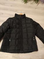 Winterjacke gesteppt Größe 42 Hessen - Wolfhagen  Vorschau