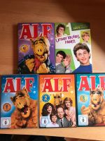 Alf alle 4 Staffeln und Unser lautes Heim Staffel 1 komplett Bayern - Dietersburg Vorschau