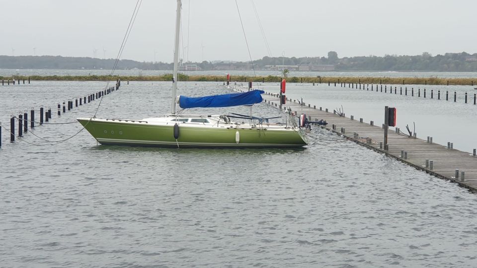 International 806 Segelyacht in Albersdorf