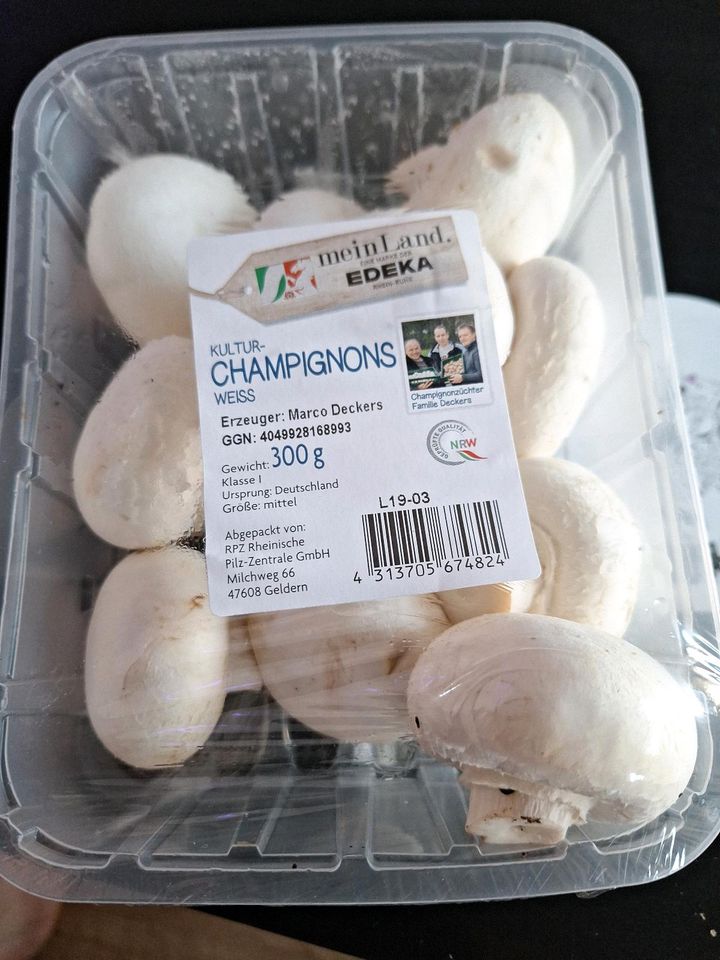 Champions frisch in RheinlandPfalz Koblenz Zu verschenken