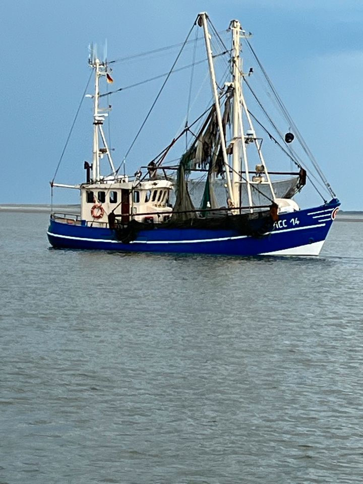 Ferienwohnung Nordsee Neßmersiel Dornum FeWo in Andernach