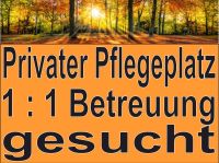 Privater Pflegeplatz mit 1:1 Betreuung gesucht Nordrhein-Westfalen - Pulheim Vorschau