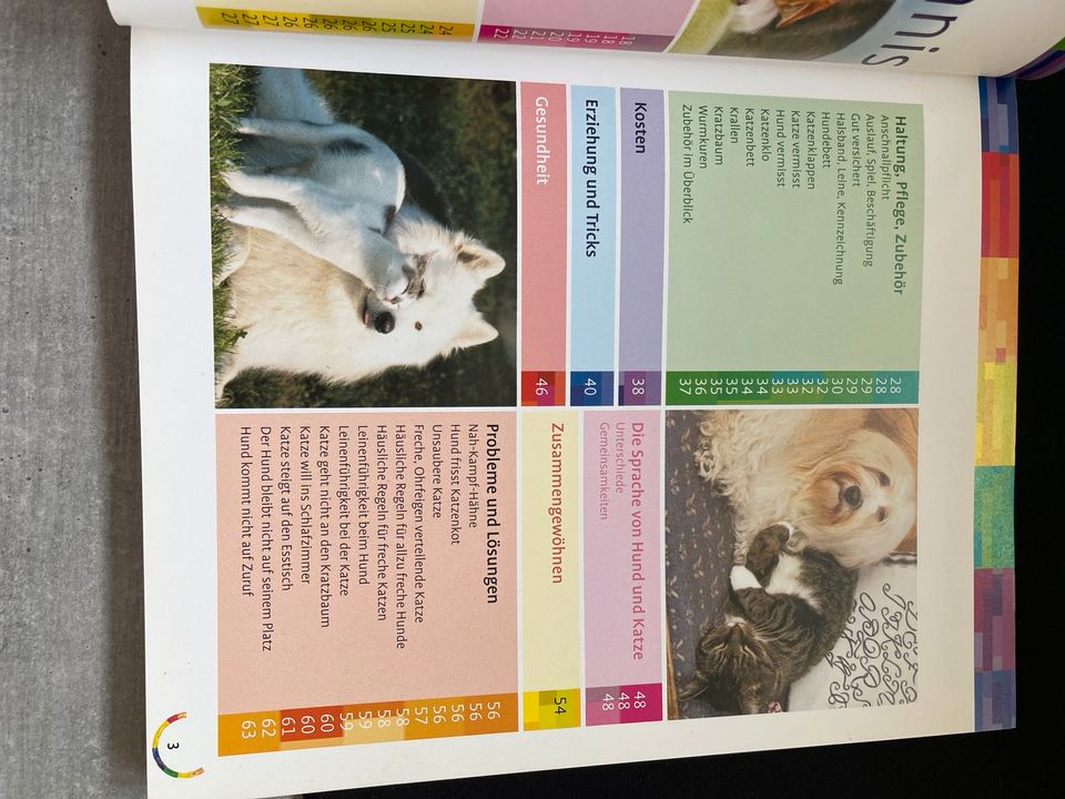 Hund und Katze gemeinsam halten - Buch - Erziehung & Tipps in Herne