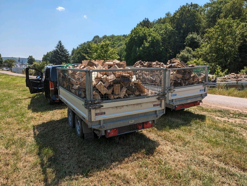 Brennholz Eiche /Buche in Staudernheim