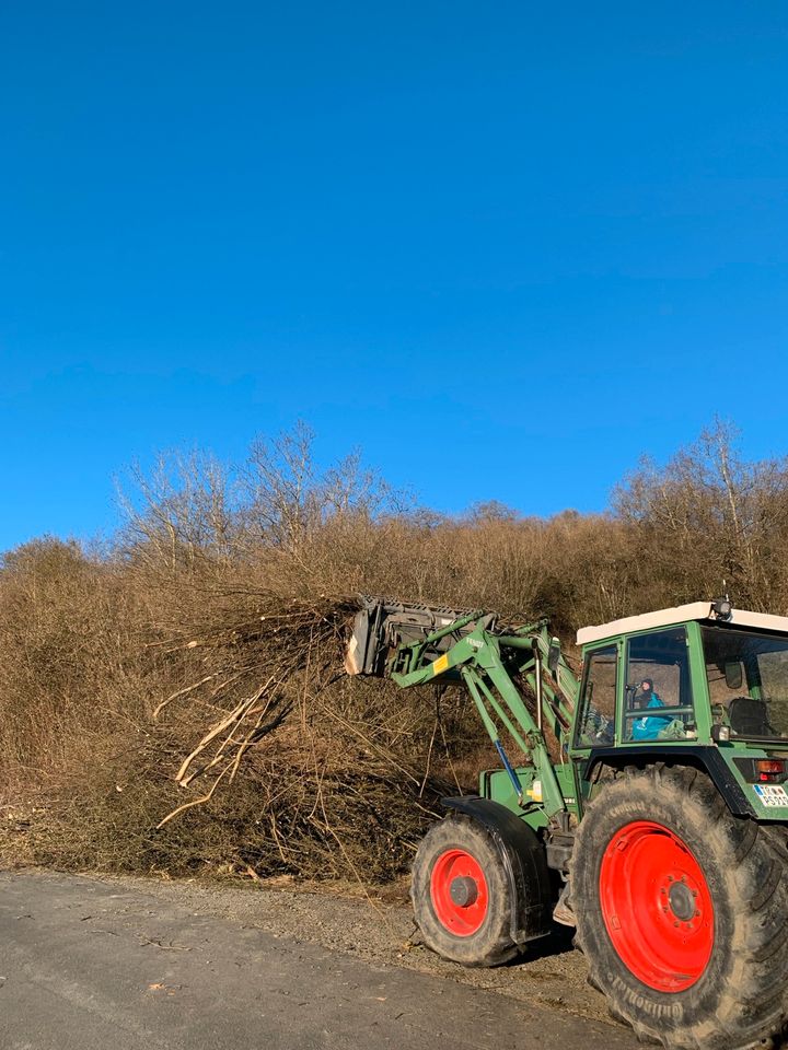 Gartenbau/Gartenarbeiten / Baumpflege / Landschaftspflege/ in Trier