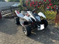 BEELINE ATV-300XS 3.3 Niedersachsen - Süpplingen Vorschau