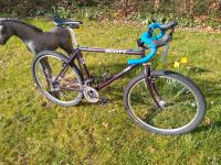 Gravel-MTB Monstercrosser CroMo Scott 26 Zoll 3x8 XT Mavic Nürnberg (Mittelfr) - Südstadt Vorschau